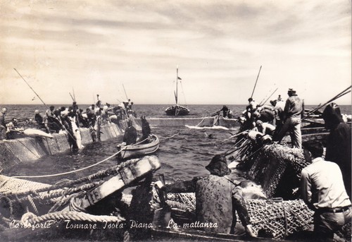 Cartolina carloforte tonnare - cartolina,