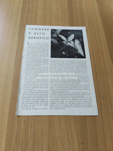 1937 tonnare del alto - le,