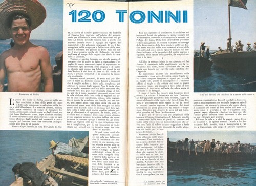 Tonnare sicilia patane - -,
