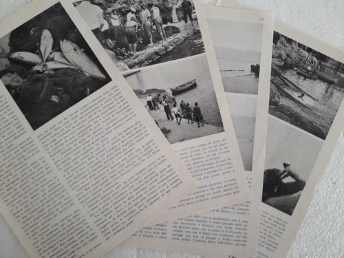 Ritaglio giornale anno 1937 - ritaglio,